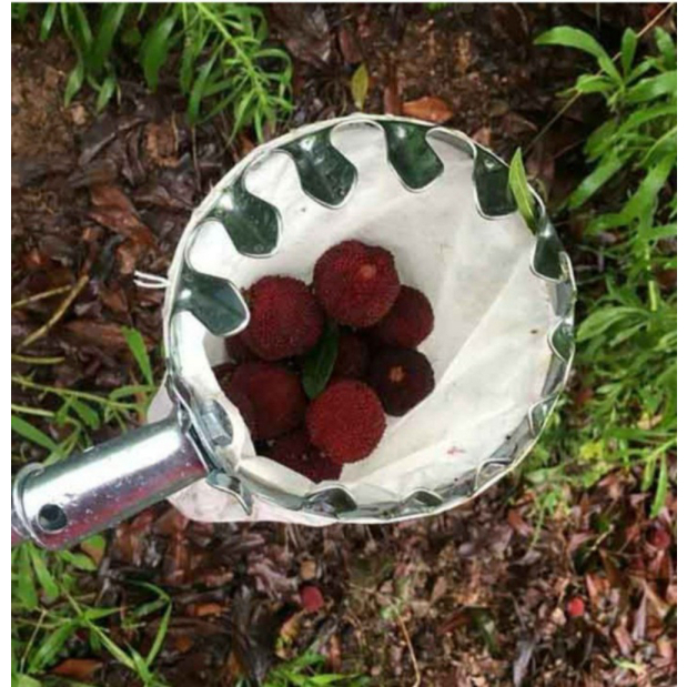 

Dijual FRUIT BASKET TOOLS Limited