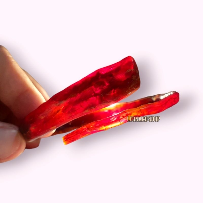 GELANG AKAR BAHAR MERAH CRYSTAL TEMBUS ASLI TEBAL / BAHAN THORNY CORAL BERKUALITAS AKSESORIS TALI AR