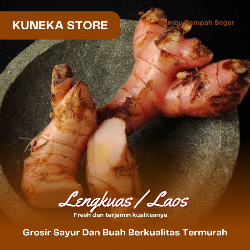 

LENGKUAS SEGAR LAOS FRESH LAWAS BUMBU MASAK BUMBU DAPUR 100GR MURAH PROMO