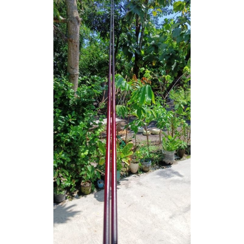 blank ulir ujung joran pnjng 120cm wrna merah