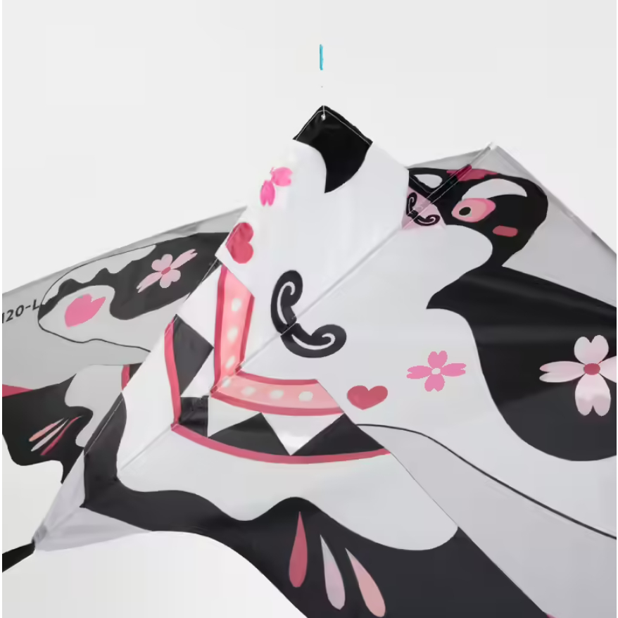 ORAO Cnk 120 Layang-layang Bermotif Olahraga Outdoor Ukuran L