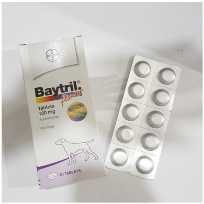 Baytril Flavour Tablet 150 mg - Antibiotik Anjing Kucing