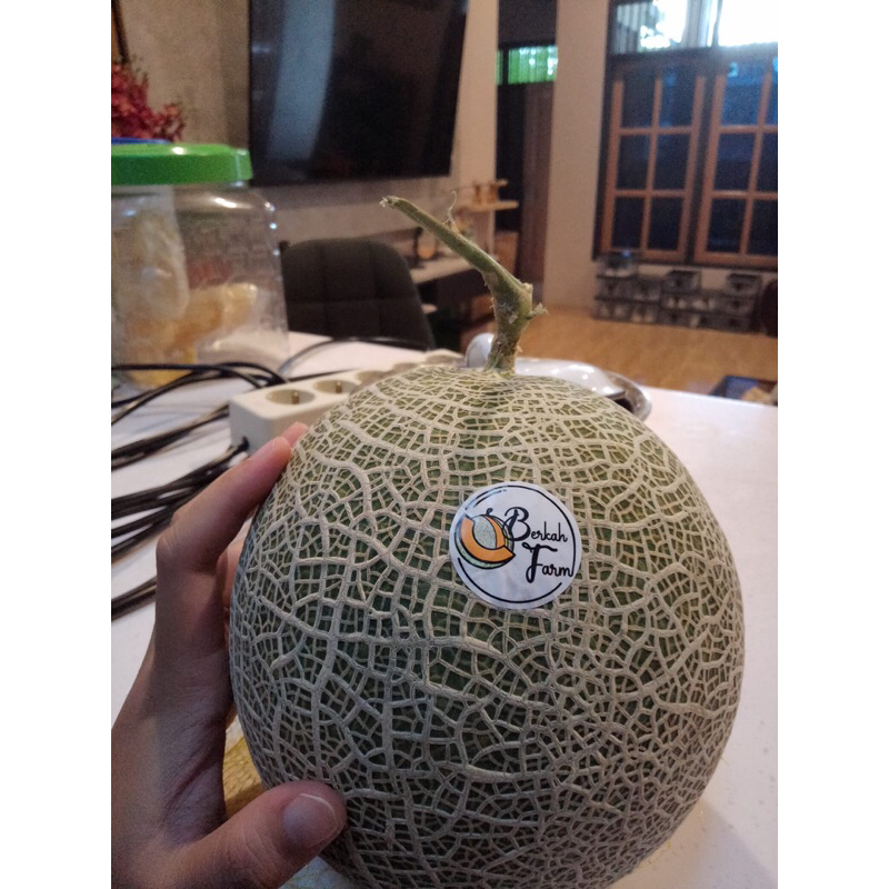 

Melon Fujisawa