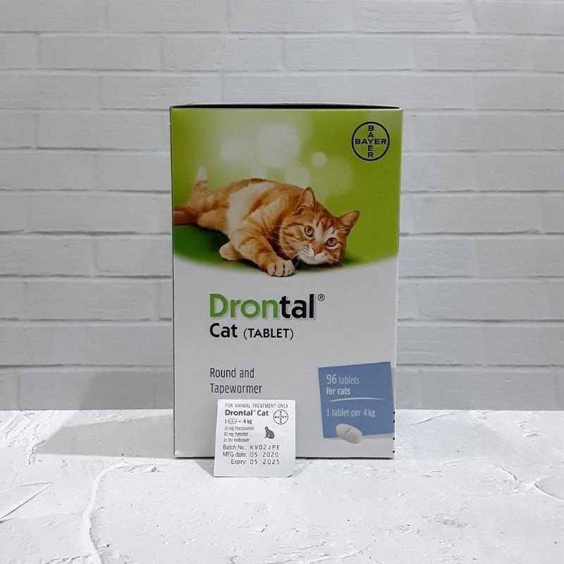 Drontal Cat 1 Box isi 48 butir ( obat cacing untuk kucing )