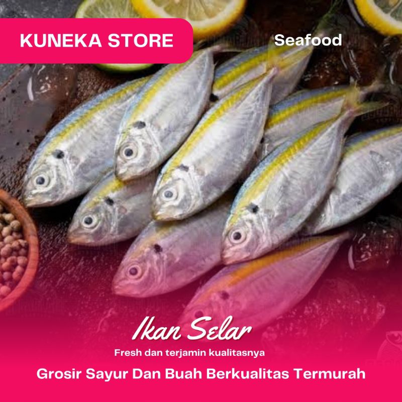 

KUNEKA IKAN SELAR SEGAR MURAH PROMO 250GR BEST SELLER BEST PRODUCT