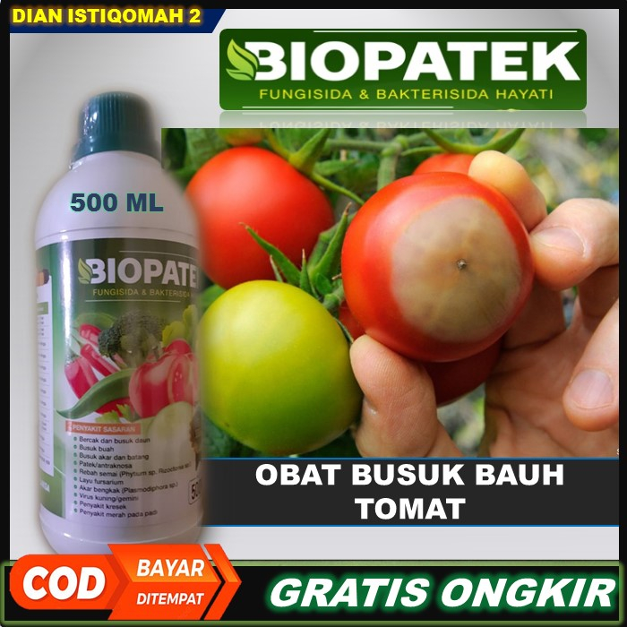 Terbaru BIOPATEK Fungisida & Bakterisida Hayati Pupuk Paling Ampuh Atasi Busuk Tanaman Tomat – Obat 