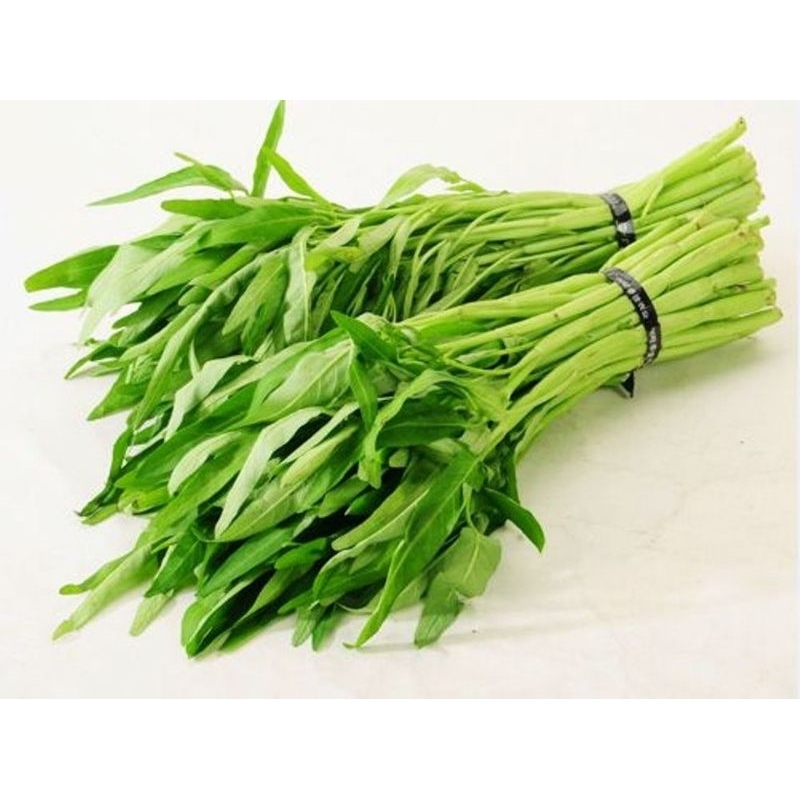 

KANGKUNG SEGAR
