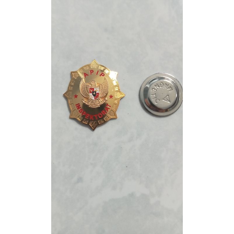 pin APIP INSPEKTORAT