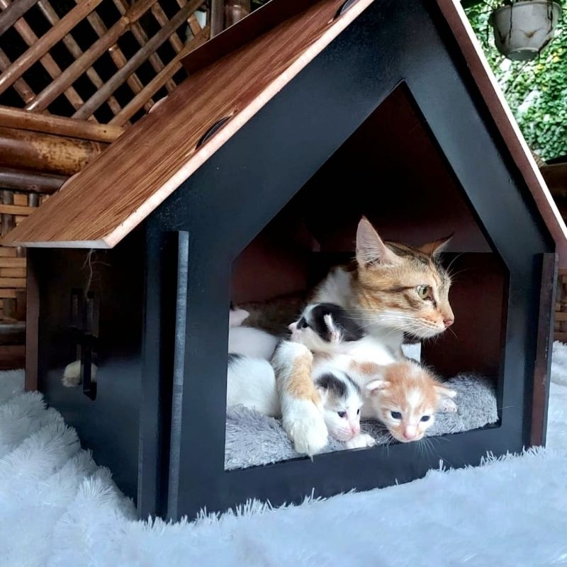 Rumah kucing anjing kelinci, kandang mewah kucing