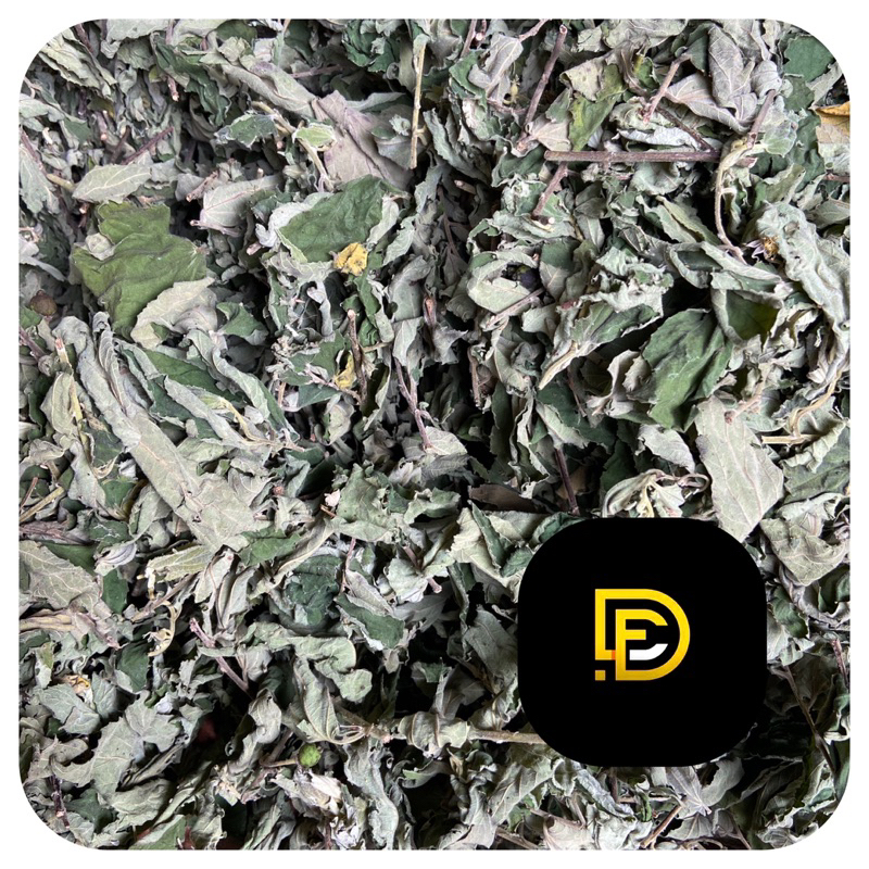 

Jual daun kersen kering 500 gram alami-az