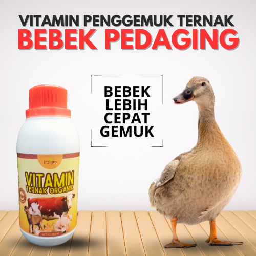 Vitamin Bebek Pedaging / Vitamin Penggemuk Bebek Pedaging  / Vitamin Untuk Bebek Pedaging / Vitamin 