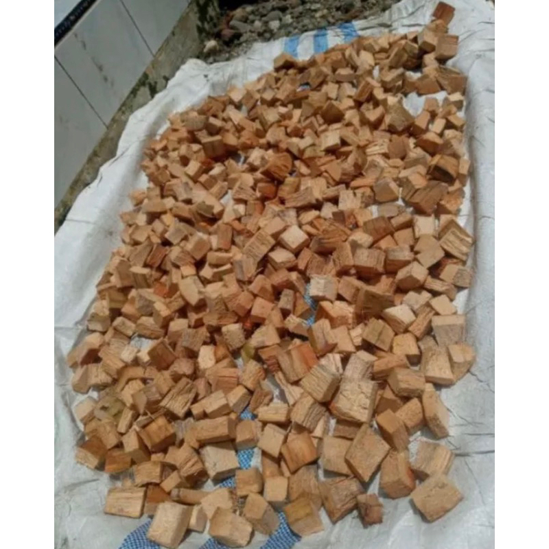 media tanam cocochip / alas reptil