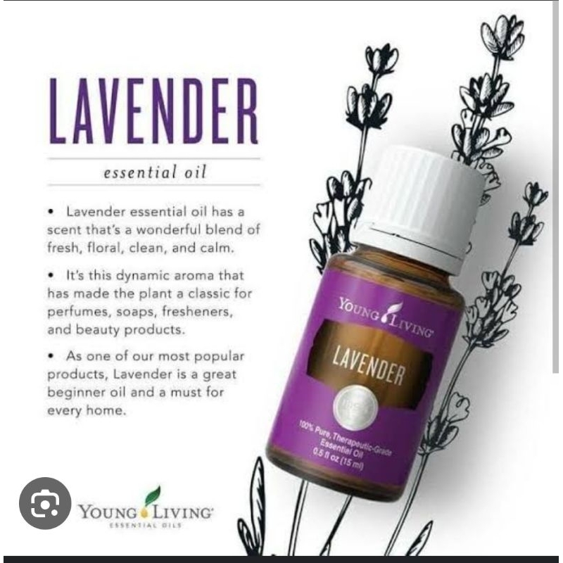 Lavender Oil Young Living