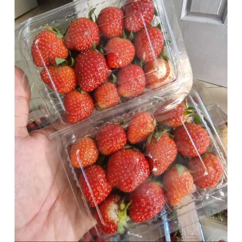 

STRAWBERRY PACK GET 5 MIKA