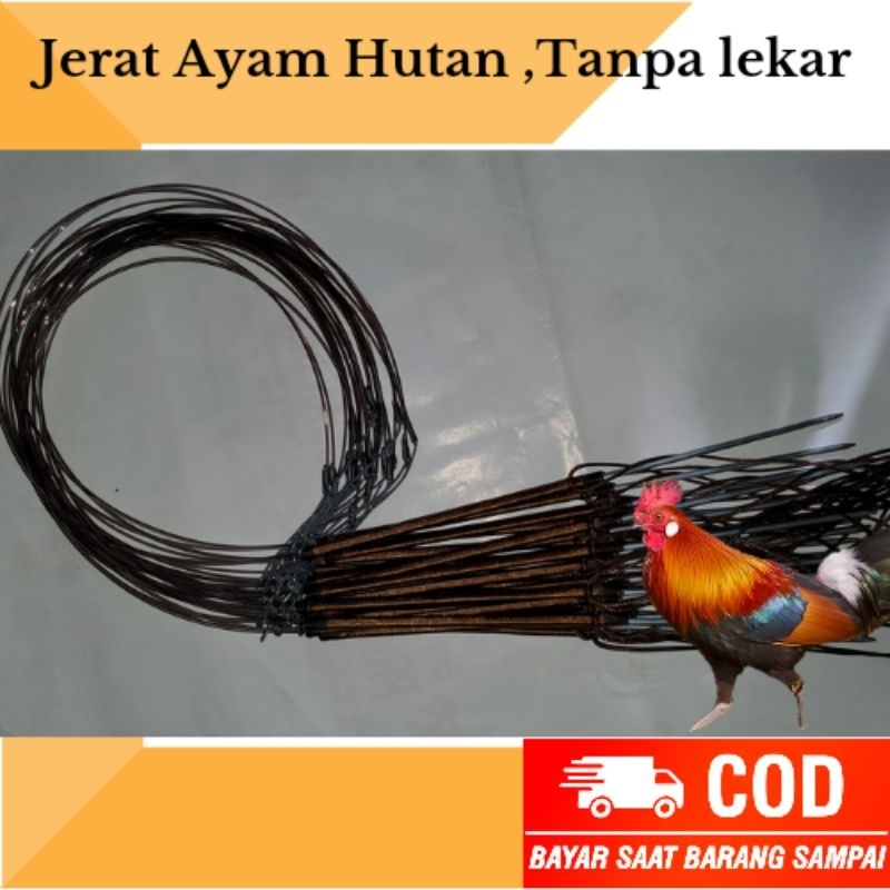 Jerat racik ayam hutan tanpa lekar Model tancap.