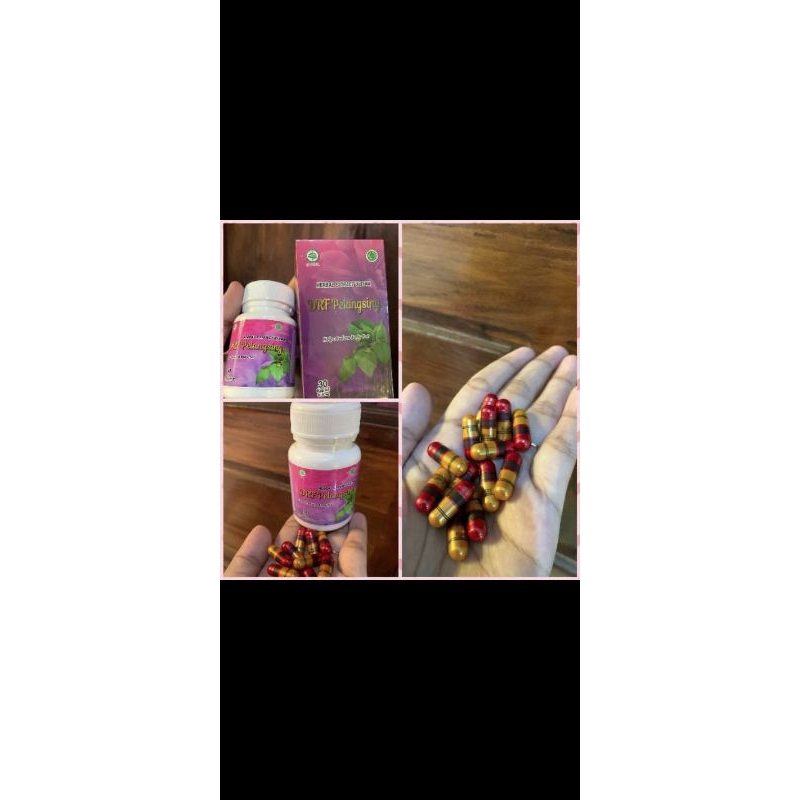 DRF pelangsing HERBAL BPOMRI