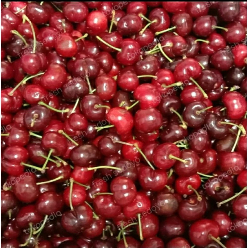 

cherry sequoia california box