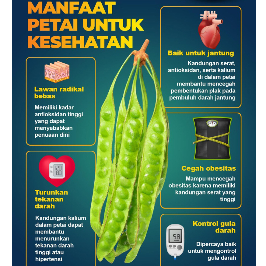 

NOB pete tua isi 20 papan