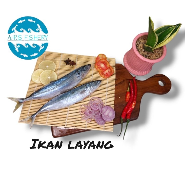 

Ikan Layang Premium / 500g sd 1kg