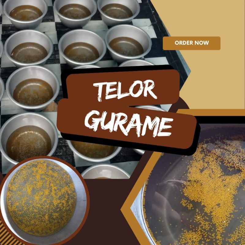 

Telur Gurame Padang paket 350 hemat kualitas unggul