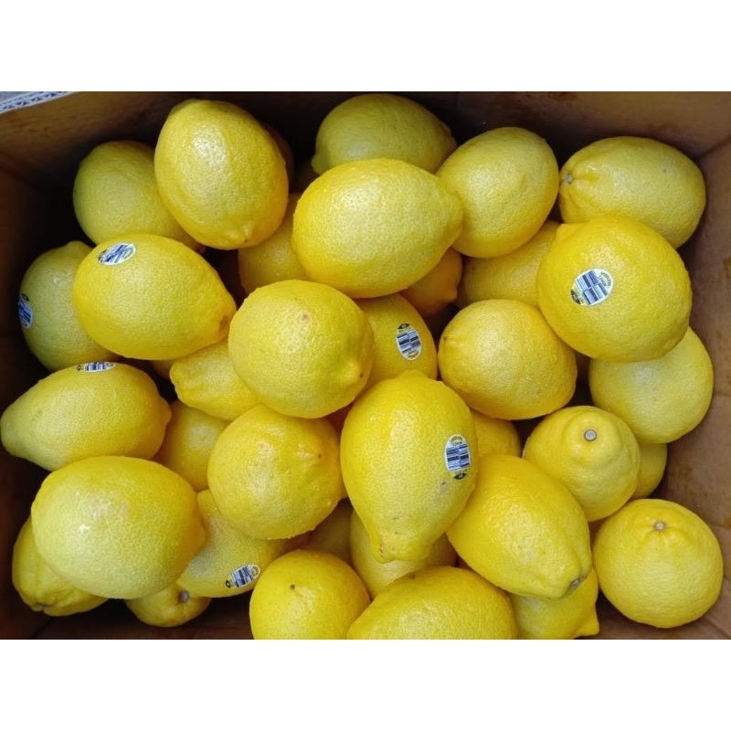 

lemon import Australia