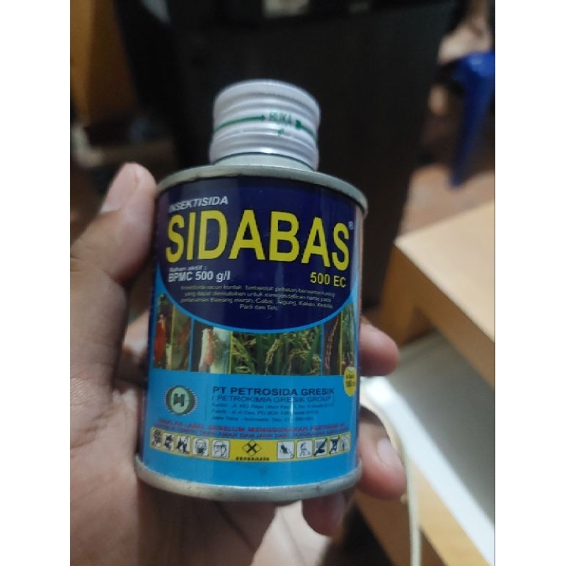 Sidabas 100 ml