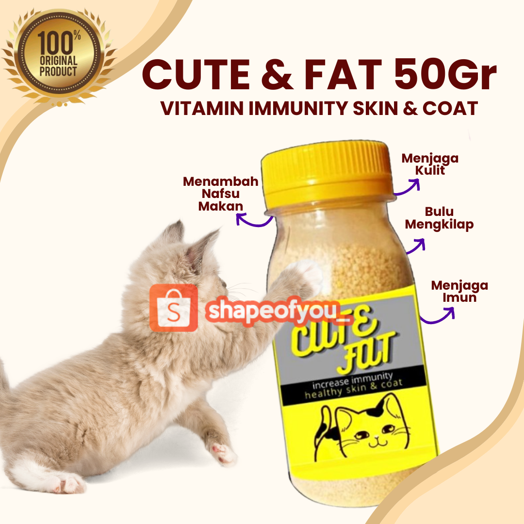 Vitamin Penggemuk dan Bulu Kucing Penumbuh Bulu Kucing Pelebat Bulu Obat Bulu Kucing Rontok Cute Fat