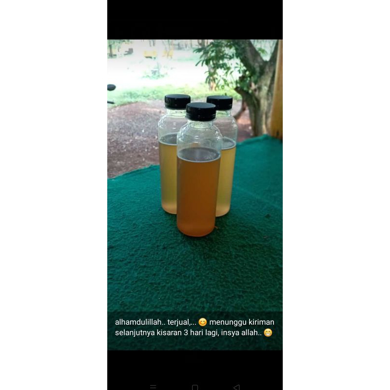 

Madu Asli Hutan Sumatera Barat