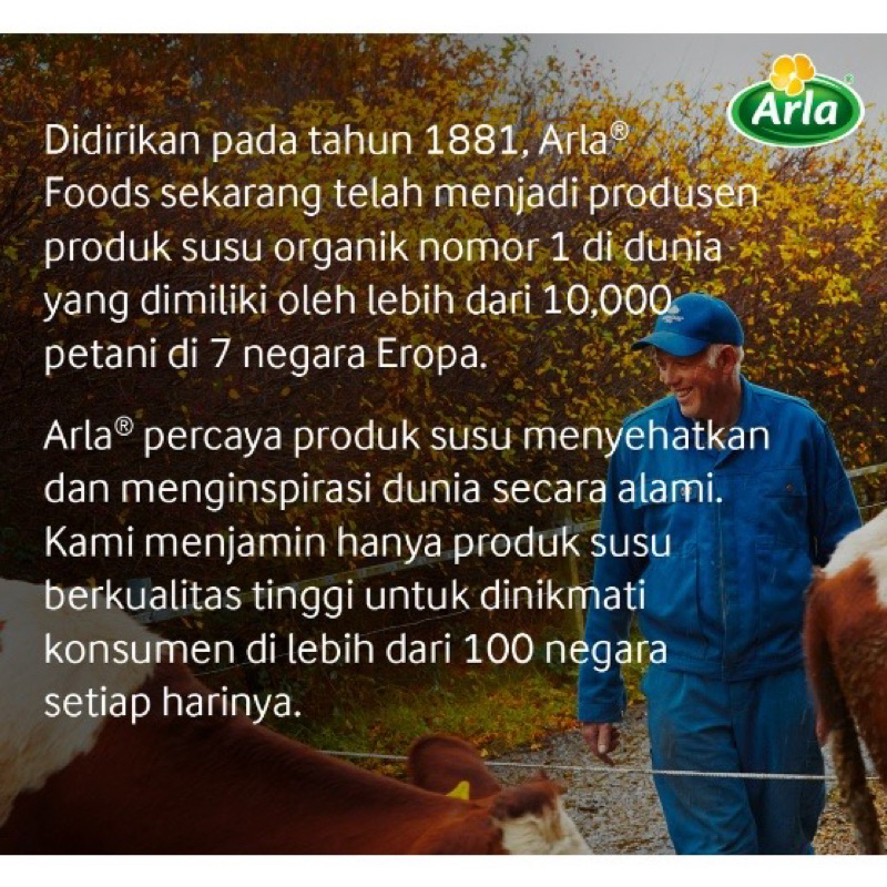 Arla Keju Cheese Stik Kids Adult High Calsium Makanan Snack Bekal Bento Sekolah Anak MPASI Bayi Penambah Berat Gizi Napsu Makan Anak Anti GTM HALAL