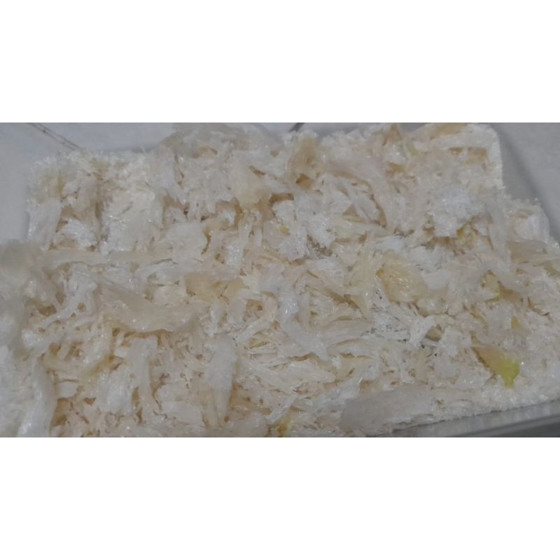 Sarang Burung Walet Patahan Asli