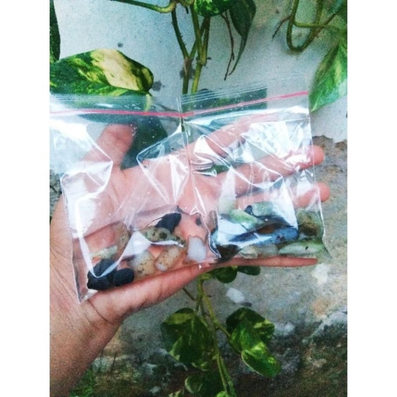 Bahan batu kalimaya tedeng