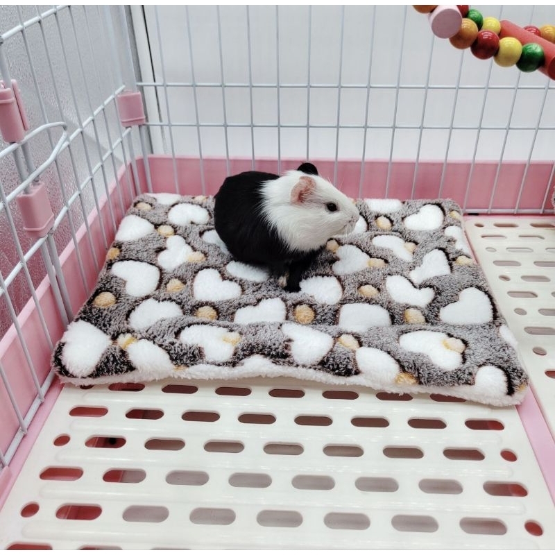 Tatakan Kandang Alas Kandang Sugar Glider Hamster Marmut Kelinci Landak Mini