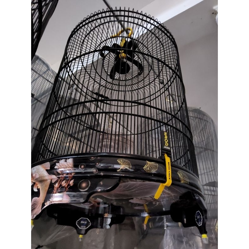 sangkar murai ebod kaki batman