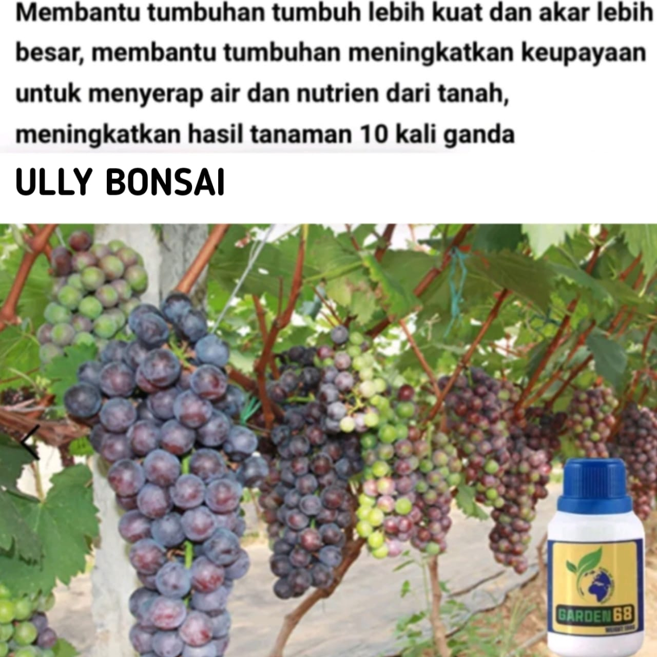 Pupuk Garden 68 Smart Garden Promo 3 Botol Gratis 1 Botol