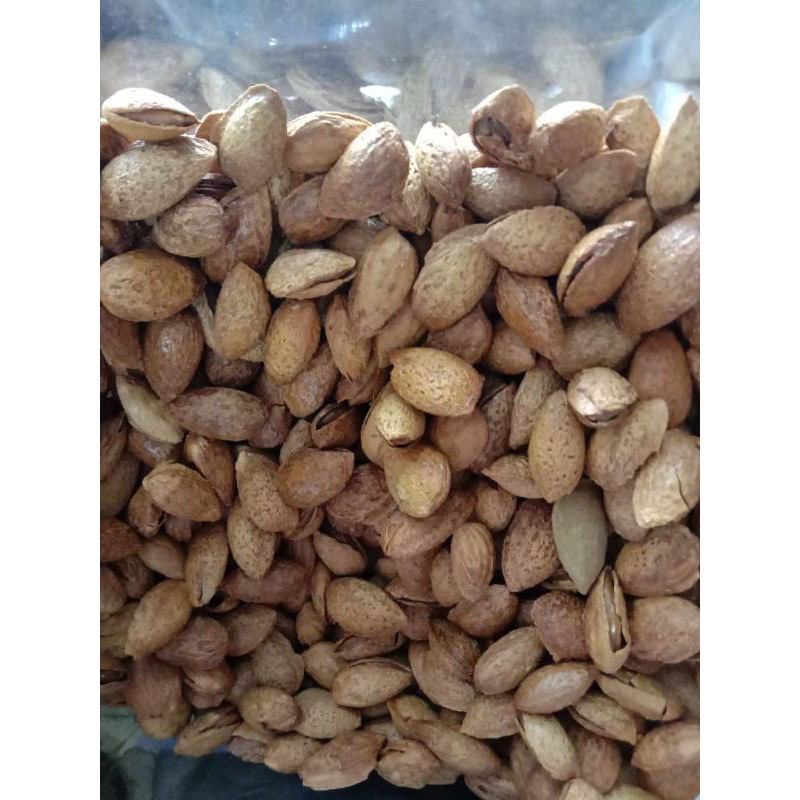 Kacang Almond Roasted Creamy milk / butter/ Kacang Almond Kulit/ Kacang Almond Cangkang