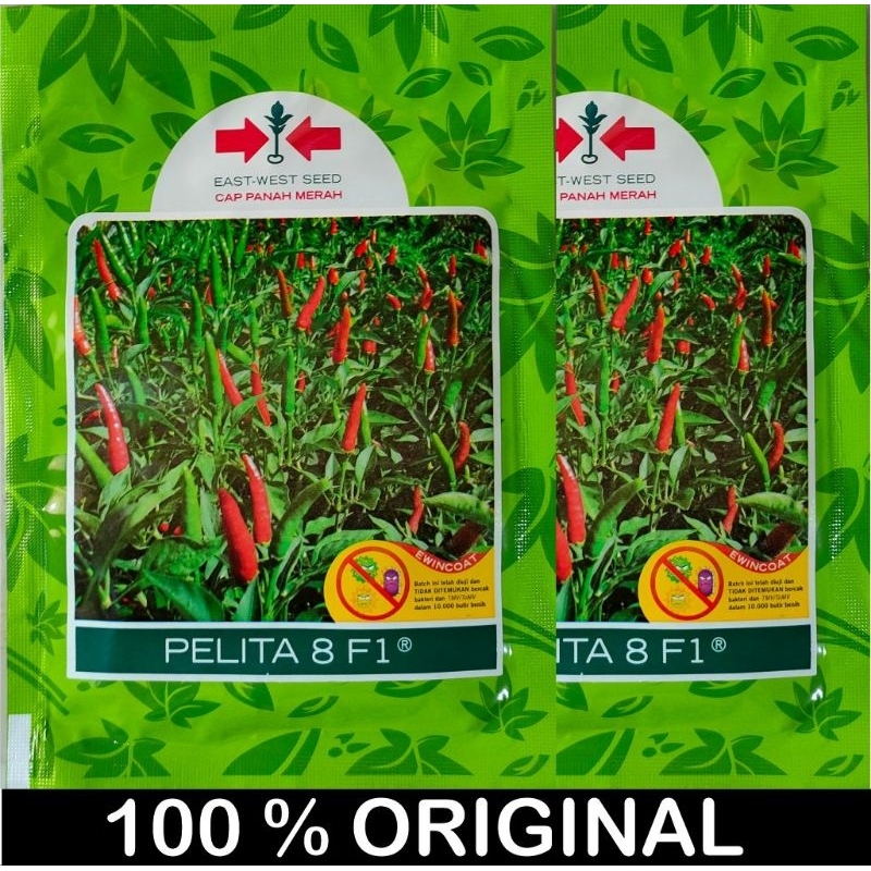 Benih Cabe Rawit PELITA 8 F1 ORIGINAL 2250 BIJI