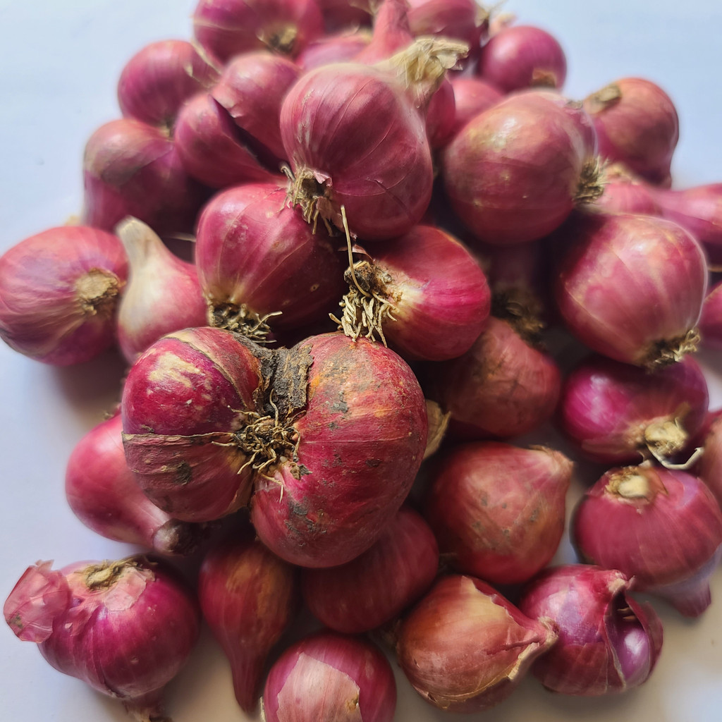 Bawang Merah Probolinggo Brambang Super 500g 1kg