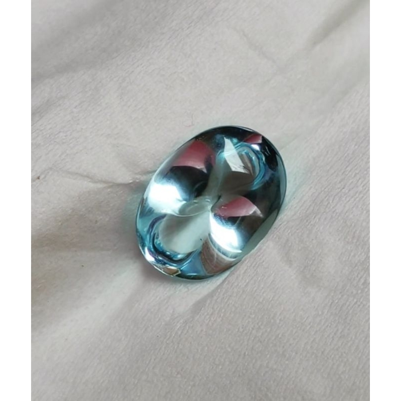 KECUBUNG BIRU LAUT ASLI BORNEO KALIMANTAN - KECUBUNG RELAXA