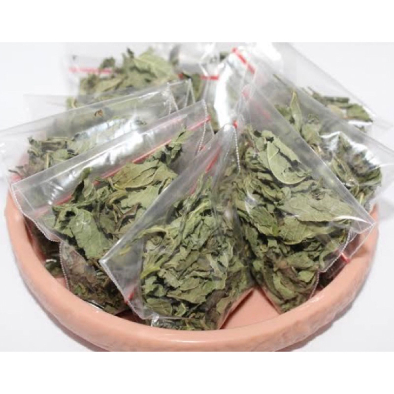 

Daun pecut kuda daun jarong kering MURNI daun-az