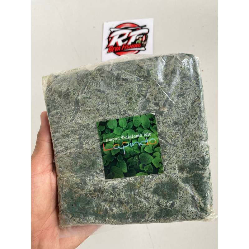 LAPINDO UMPAN GALATAMA LELE