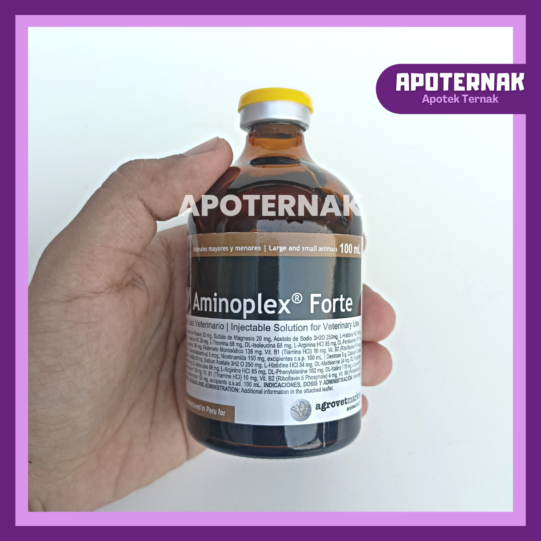 AMINOPLEX FORTE 100 ml | Multivitamin Asam Amino Atasi Lemah Tubuh Stress Lelah Pada Hewan Ternak Kuda Kambing Kucing dll