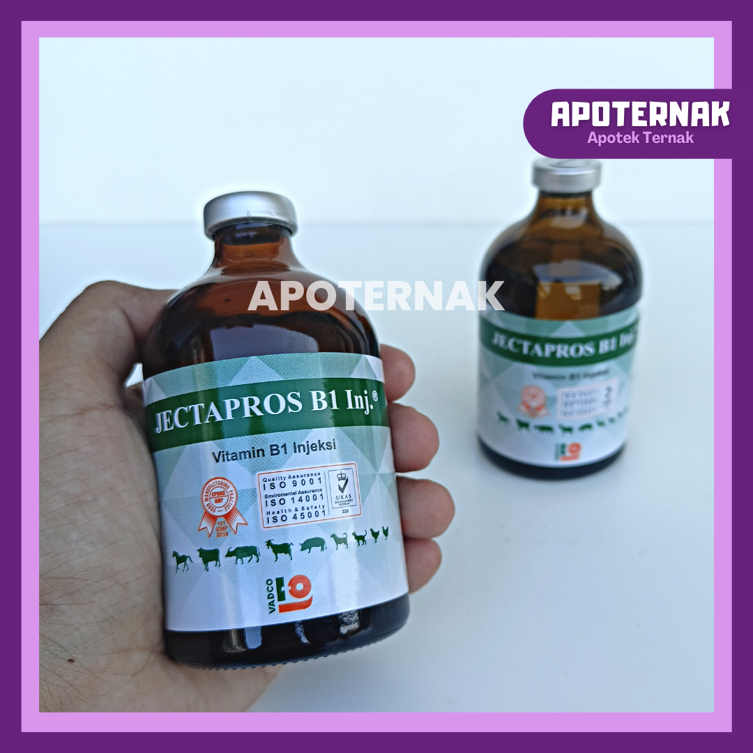 JECTAPROS B1 INJ 100 mL | Vitamin B1 Injeksi Untuk Hewan Sapi Kambing Domba dll | Like B1 Wonder