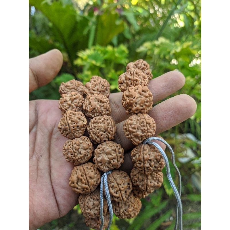 100% bracelet original Nepali rudraksha