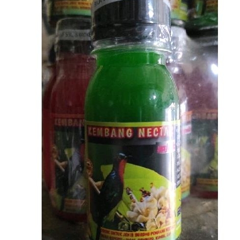 kembang nektar rujak makanan burung kolibri harian