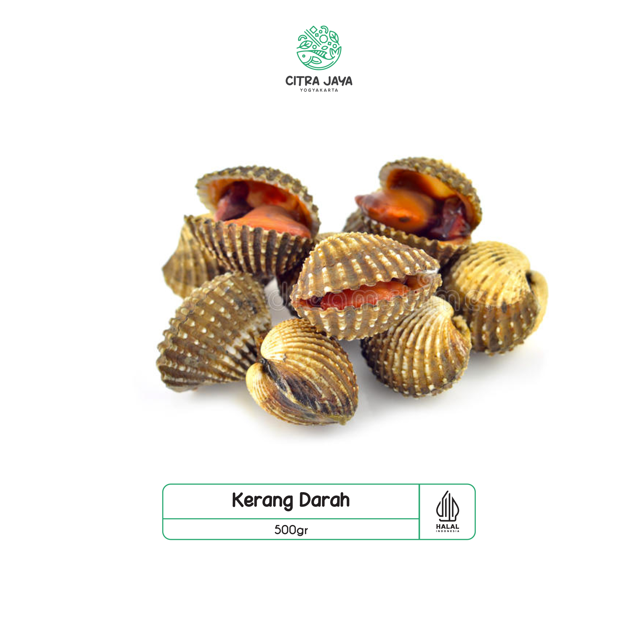 

Kerang Dara 500g - Citra Jaya Yogyakarta