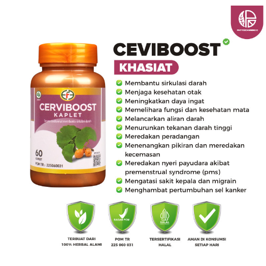 CERVIBOOST 60 KAPLET melancarkan sirkulasi darah ginko biloba herbal