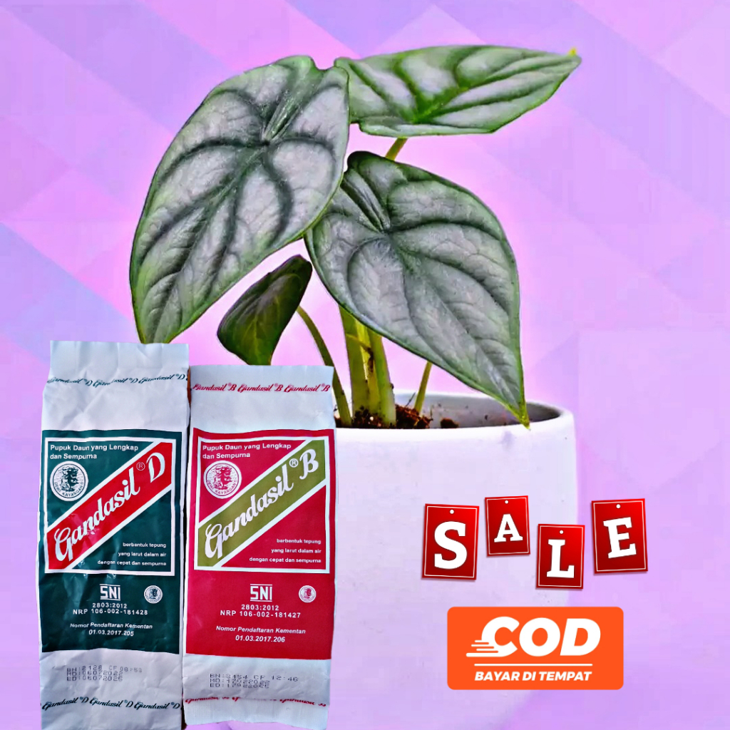 Pupuk Gandasil B Dan D Paket Hemat 500gr Original 2pcs 1kg