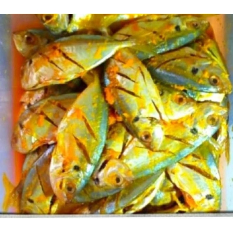 

ikan selar bumbu kuning fresh