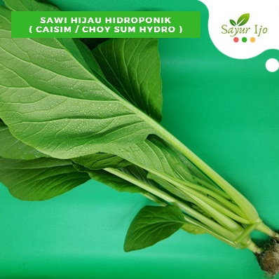 

Sawi Hijau Hidroponik 200 Gram / Pack Fresh Caisim Hijau Sayur Hydro Segar