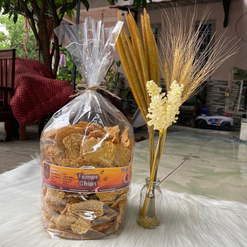 

keripik tempe